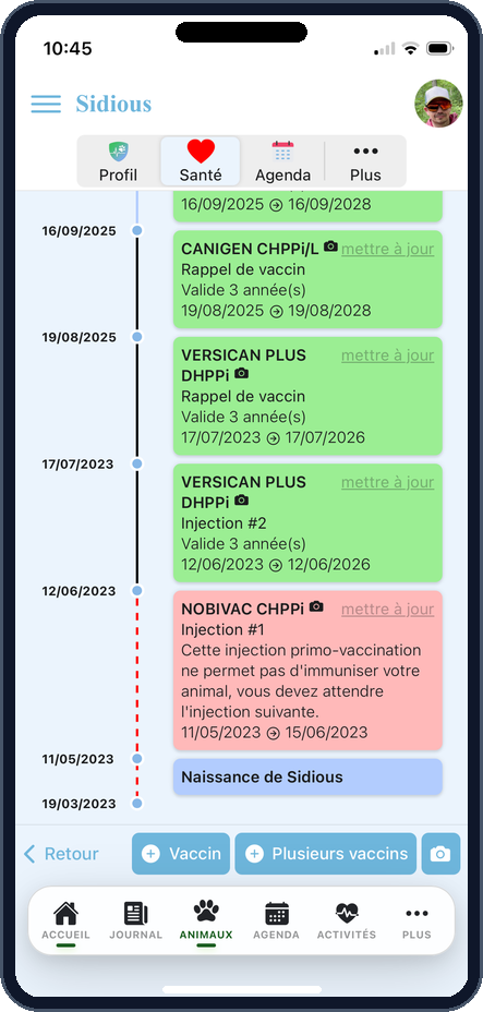 Carnet de Santé Numérique et Vaccins